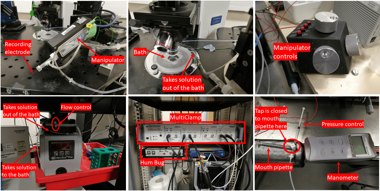 The array of equipment employed for my experiment.